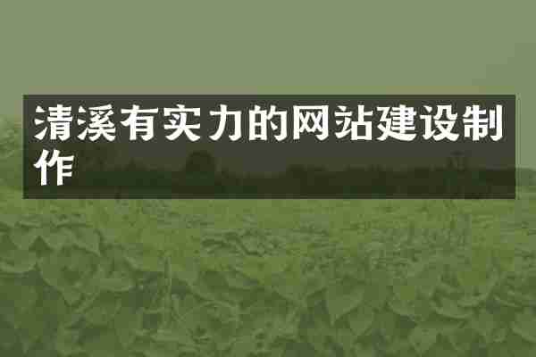 清溪有实力的网站建设制作