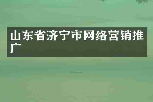 山东省济宁市网络营销推广
