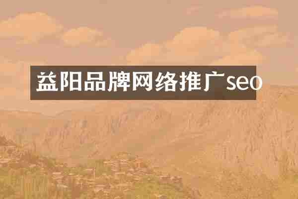 益阳品牌网络推广seo