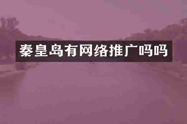 秦皇岛有网络推广吗吗
