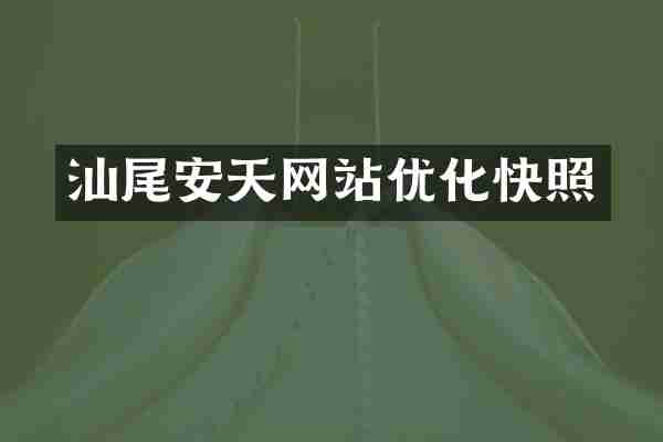 汕尾安天网站优化快照