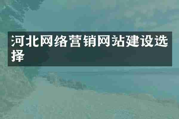 河北网络营销网站建设选择
