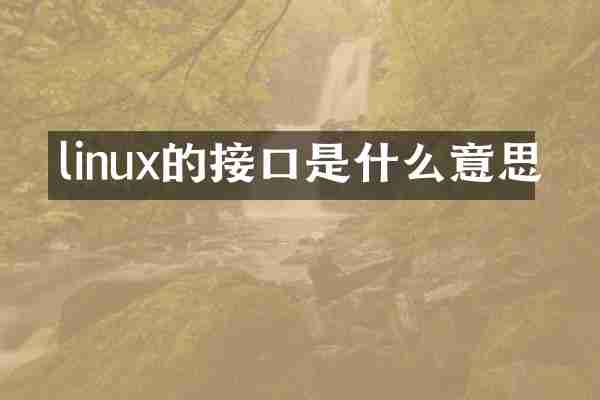 linux的接口是什么意思