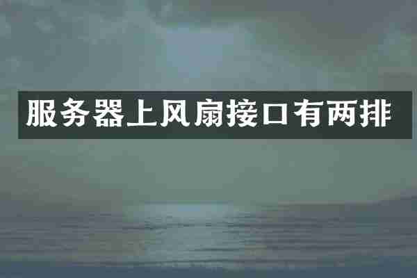服务器上风扇接口有两排