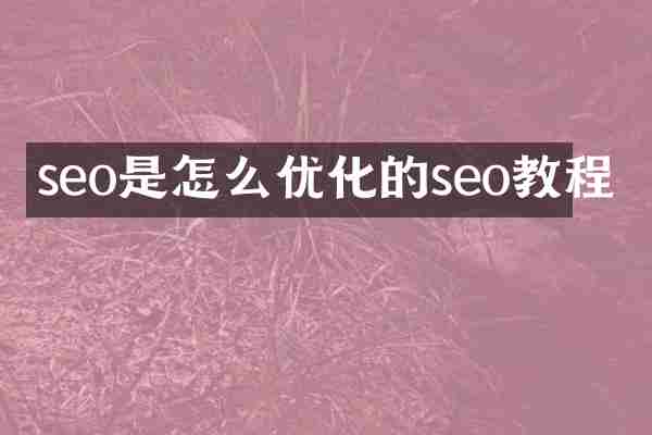 seo是怎么优化的seo教程
