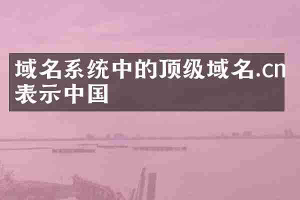 域名系统中的顶级域名.cn表示中国