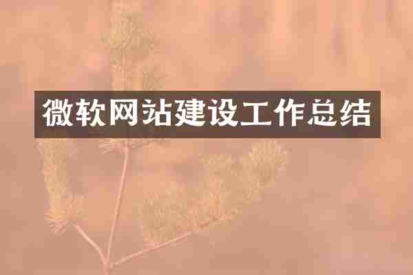 微软网站建设工作总结