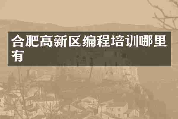 合肥高新区编程培训哪里有