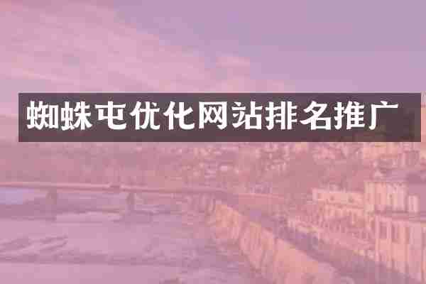 蜘蛛屯优化网站排名推广