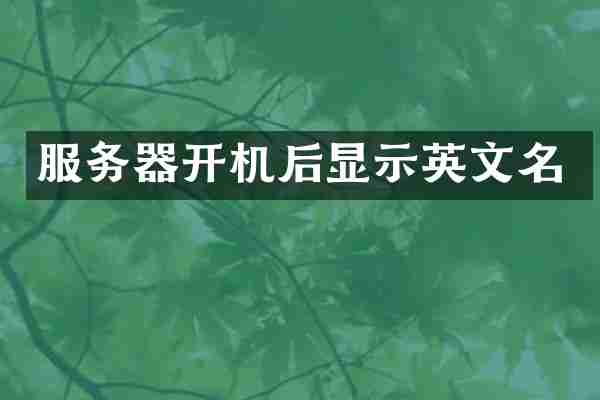 服务器开机后显示英文名
