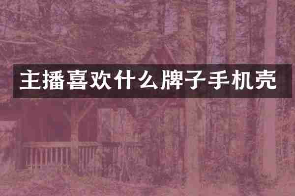 主播喜欢什么牌子手机壳