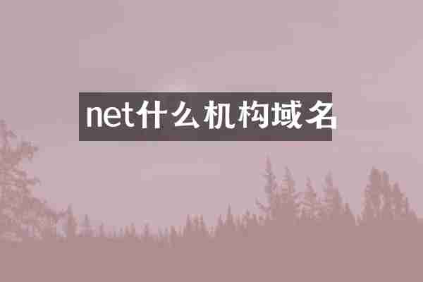 net什么机构域名