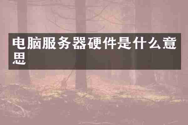 电脑服务器硬件是什么意思
