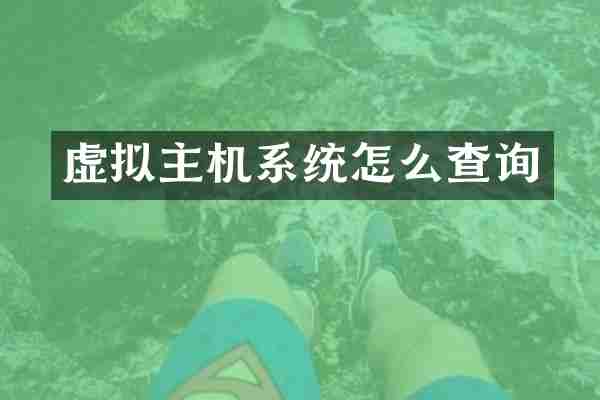 虚拟主机系统怎么查询