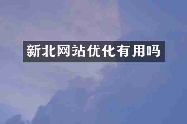 新北网站优化有用吗