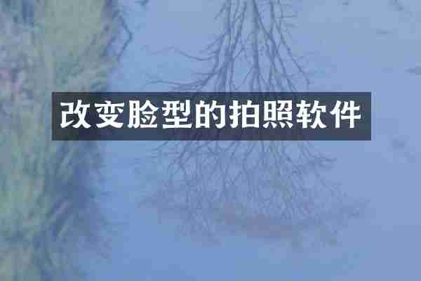 改变脸型的拍照软件