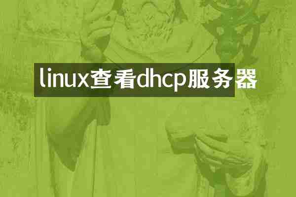 linux查看dhcp服务器