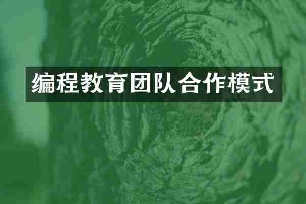 编程教育团队合作模式