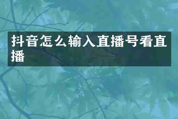抖音怎么输入直播号看直播