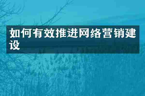 如何有效推进网络营销建设