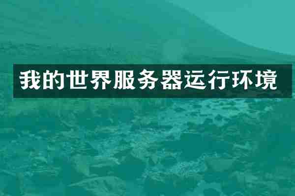 我的世界服务器运行环境