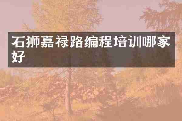石狮嘉禄路编程培训哪家好