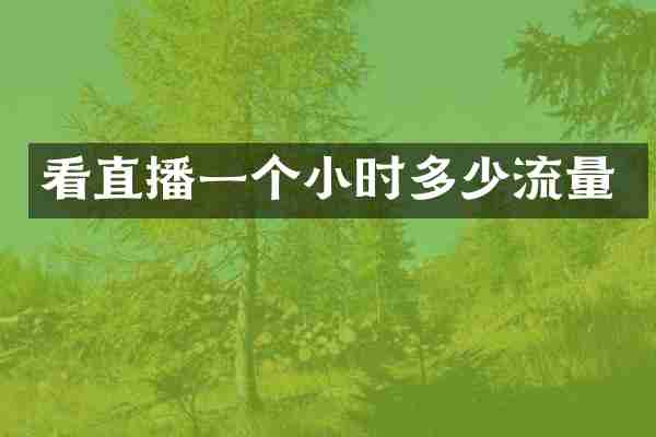 看直播一个小时多少流量