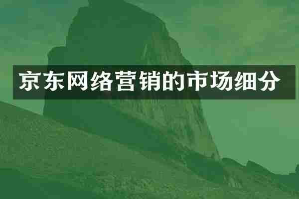 京东网络营销的市场细分