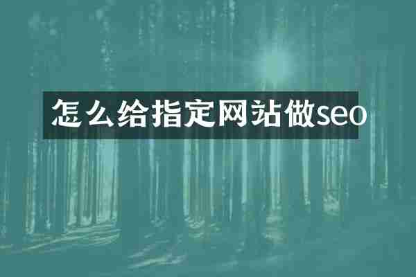 怎么给指定网站做seo