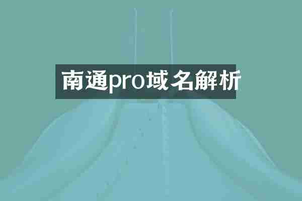 南通pro域名解析