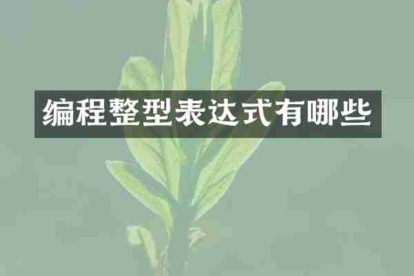 编程整型表达式有哪些