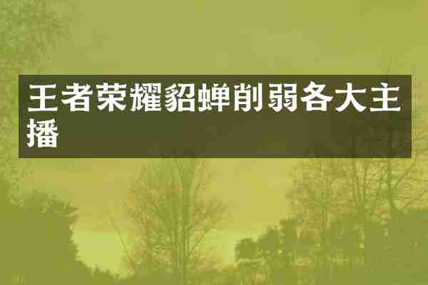 王者荣耀貂蝉削弱各大主播