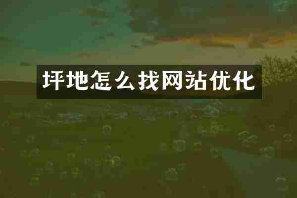 坪地怎么找网站优化