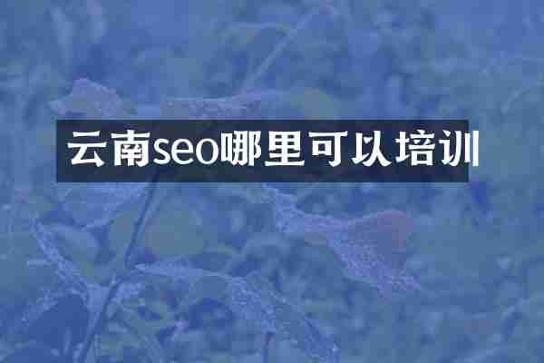 云南seo哪里可以培训
