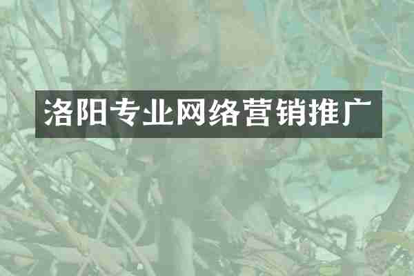洛阳专业网络营销推广