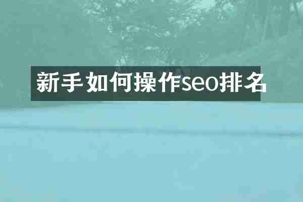新手如何操作seo排名
