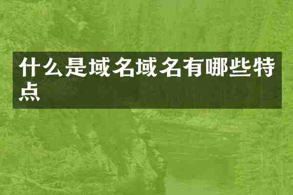什么是域名域名有哪些特点