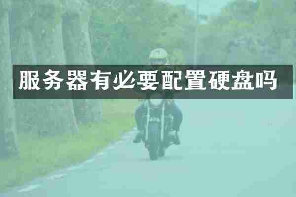 服务器有必要配置硬盘吗