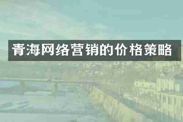 青海网络营销的价格策略