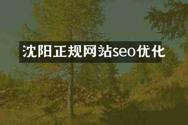 沈阳正规网站seo优化