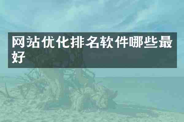网站优化排名软件哪些最好