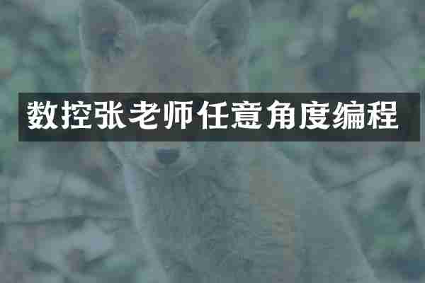 数控张老师任意角度编程