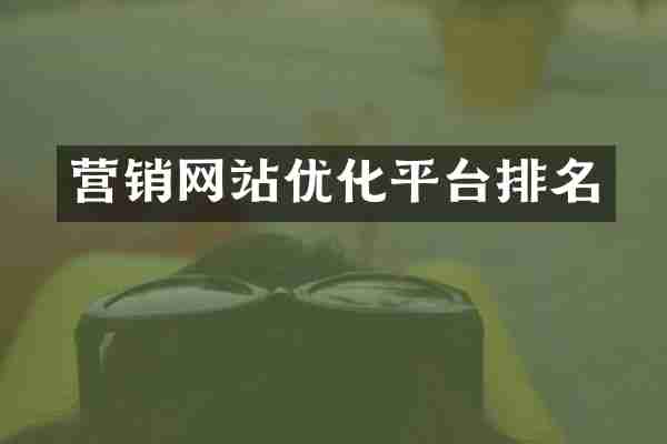 营销网站优化平台排名