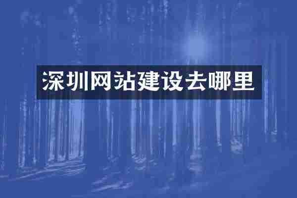 深圳网站建设去哪里