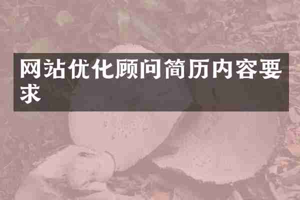 网站优化顾问简历内容要求