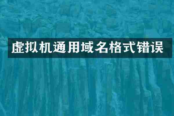 虚拟机通用域名格式错误