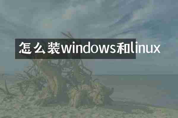 怎么装windows和linux