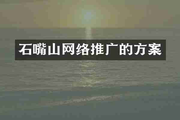 石嘴山网络推广的方案