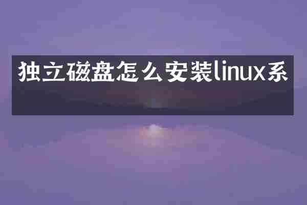 独立磁盘怎么安装linux系统