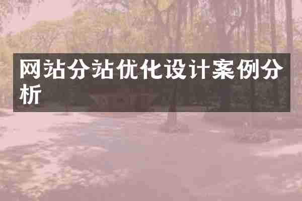 网站分站优化设计案例分析